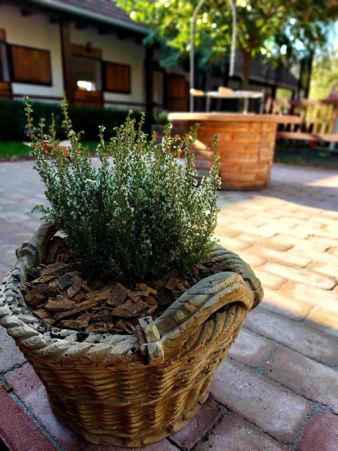 Akacos Tanya Es Vendeghaz Hotel Marok Ngoại thất bức ảnh